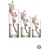 Sürahi Vazo Mumluk Cam 3lü Set 10cm X 15,20,25cm
