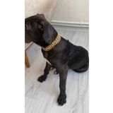 Sürmeli Tasma Küçük Ve Orta Irk Köpek Kolyesi Üç Sıra 50 Cm Ayarlanabilir 1. Sınıf