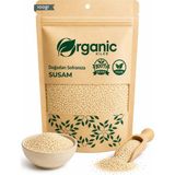 Susam 100GR Doğal & Katkısız | Orta Kavrulmuş | Vegan & Glutensiz | Pasta & Hamur Işi Için Uygun - 100 gr