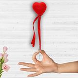 SüSLe Bebek ve Parti Kalp Çubuk, 21 Cm X 4,5 Cm - 10 Adet Çok Renkli