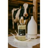 Süt Milk Esans Buhurdanlık Difüzör Parfüm Esansı Doğal Uçucu Yağ 100 ml