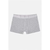 Süvari Gri Regular Düz Boxer, 48