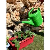 Süzgeçli Sulama Bidonu Bahçe Bitki Çiçek Sulama Kabı Sulak 5 Lt