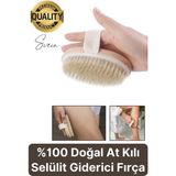 Svein %100 Doğal At Kılı Banyo Peeling Fırçası Selülit Giderici Etkili 1 Adet
