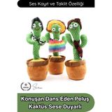 Svein #kaktüs Konuşan Dans Eden Kaktüs Oyuncak Sese Duyarlı Ses Kayıtlı Müzikli Peluş Bebek Eğitici Taklit Eden Hareketli Interaktif Çocuk Oyuncağı 35 cm Pil Ile Çalışan