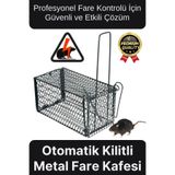 Svein Özel Üretim Etkili Pratik Güvenli Hayvan Kemirgen Kontrolü Yaylı Otomatik Kilitli Metal Fare Kafesi