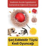 Svein Özel Üretim Yumuşak Küçük Boyutlu Şarj Edilebilir Etkileşimli Eğlenceli Yuvarlanan Kedi Top Oyuncağı - diğer - Çok Renkli