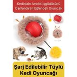 Svein Özel Üretim Yumuşak Küçük Boyutlu Şarj Edilebilir Etkileşimli Eğlenceli Yuvarlanan Kedi Top Oyuncağı