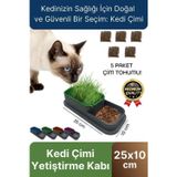 Svein Premium Seri Hidroponik Topraksız Doğal 5 Adet Tohum Hediyeli Kedi Çimi Yetiştirme Kabı 25 x 10 cm