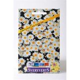 Sveryverts Kır Papatyası Tohumu