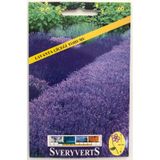 Sveryverts Lavanta Çiçeği Tohumu