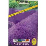 SVERYVERTS Lavanta Tohumu 1 Paket 10-15 Adet Lavanta Çiçeği Tohumu