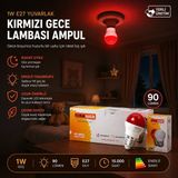 Svoria Store 10 Adet 1W E27 Kırmızı Yuvarlak Gece Lambası LED Ampul EAMP-075 - 0,5 W - Altın