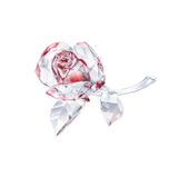 Swarovski 5428561 Blossoming Rose Red Swarovski Biblo