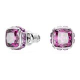 Swarovski 5660797 Birthstone Pe Studs Feb Pur-Rhs Küpe