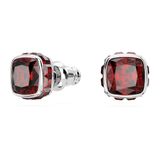 Swarovski 5660798 Kadın Küpe