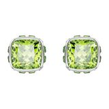 Swarovski 5661958 Kadın Küpe