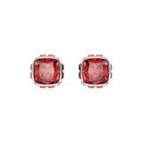 Swarovski 5661959 Kadın Küpe