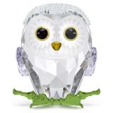 Swarovski 5684483 Idyllia Baby Owl Biblo
