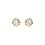 Swarovski 5686637 Kadın Küpe