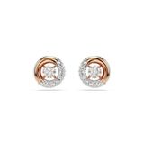 Swarovski 5692258 Dextera Pe Stud Cry-Ros Küpe