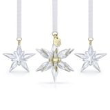Swarovski 5701628 Annual Edition Ornament Set 3D 2025 Ev Dekorasyonu
