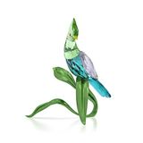 Swarovski Idyllia Yeşil Turako Dekoratif Obje