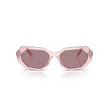 Swarovski Kadın Sk6028 Altıgen Güneş Gözlüğü, Şeffaf Pembe/Açık Mor Kahverengi, 54 mm