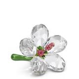 Swarovski Küçük Hibiscus Florere Dekoratif Obje