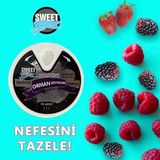 Sweet Fresh Orman Meyvesi Aromalı Şekersiz Şeker 10GR - 12'li Kutu - 12 Adet
