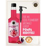 Sweet Heaven Cool Plumberry Kahve Şurubu 700ml Pompa Hediye