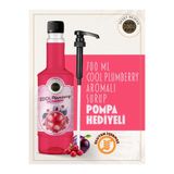 Sweet Heaven Cool Plumberry Kokteyl ve Kahve Şurubu 700ml Pompa Hediye