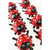 Sweetie Park POÇERA Lady Bird 10 Adet Uğur Böceği Hediye Pinyata Bayram Çikolata
