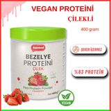 Sweetwell Çilek Aromalı Vegan Bezelye Proteini Tozu 400 gr