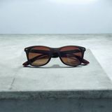 Swing SS154 C216 Polarize Unisex Güneş Gözlüğü - Mat Kahverengi