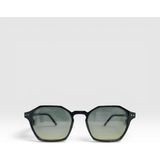 Swing SS319 C62 Unisex Güneş Gözlüğü - Siyah - Kahverengi