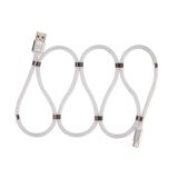 Swiss Charger SCC-10087 Type-C Manyetik Hızlı Şarj ve Data Kablosu