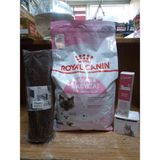 SY Mother&babycat Anne ve Yavru Kedi Kuru Mama 4 kg +100X30 cm Tırmalama Halısı+1 Adet Yavru Kedi Malt 100 Gr+1 Adet Otomatik Yuvarlanan Şarjlı Kedi Oyun Topu