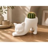 Sylva Concept Dekoratif Kedi Saksı – Modern Minimal Tasarım | Kaktüs ve Sukulentler Için Şık Saksı - Beyaz