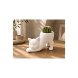SYLVA CONCEPT Dekoratif Kedi Saksı – Modern Minimal Tasarım | Kaktüs ve Sukulentler İçin Şık Saksı