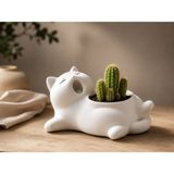 Sylva Concept Minimalist Kedi Saksı | Dekoratif Sukulent & Kaktüs Saksısı | Modern Beyaz Masa Üstü Saksı | Estetik Ev Ofis Dekoru