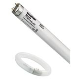 Sylvania daha fazla-Paket: 50 ST floresan lamba T8 15 W BL368 438 mm KERBL 299811 gibi Siyah ışık