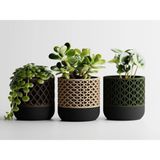 Synora Dekoratif Saksı - Bej Delikli Modern Bitki Saksısı 15 cm - 150x150x150mm