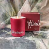 SYRINGA Dekoratif Mum (%100 soya)