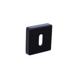 System RO11N AL6 Siyah Oda Kapı Rozeti