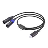 SZLliyxs USB C - Çift XLR Ses Kablosu, 10FT USB Tip C - XLR Erkek Çıkışlı Stereo Kordon Dönüştürücü Adaptörü Amplifikatör, Hoparlör, Mikser Konsolu, vb
