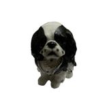 T Camp Zarif Siyah-Beyaz Kral Charles Spaniel Biblo Köpek