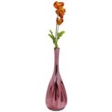 T.Concept Gelincik Çiçeği Kırmızı