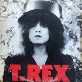 T. Rex - The Slider - Yabancı 33'lük Plaklar