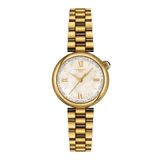T1520103311800 Tissot Desir Bayan Kol Saati T152.010.33.118.00